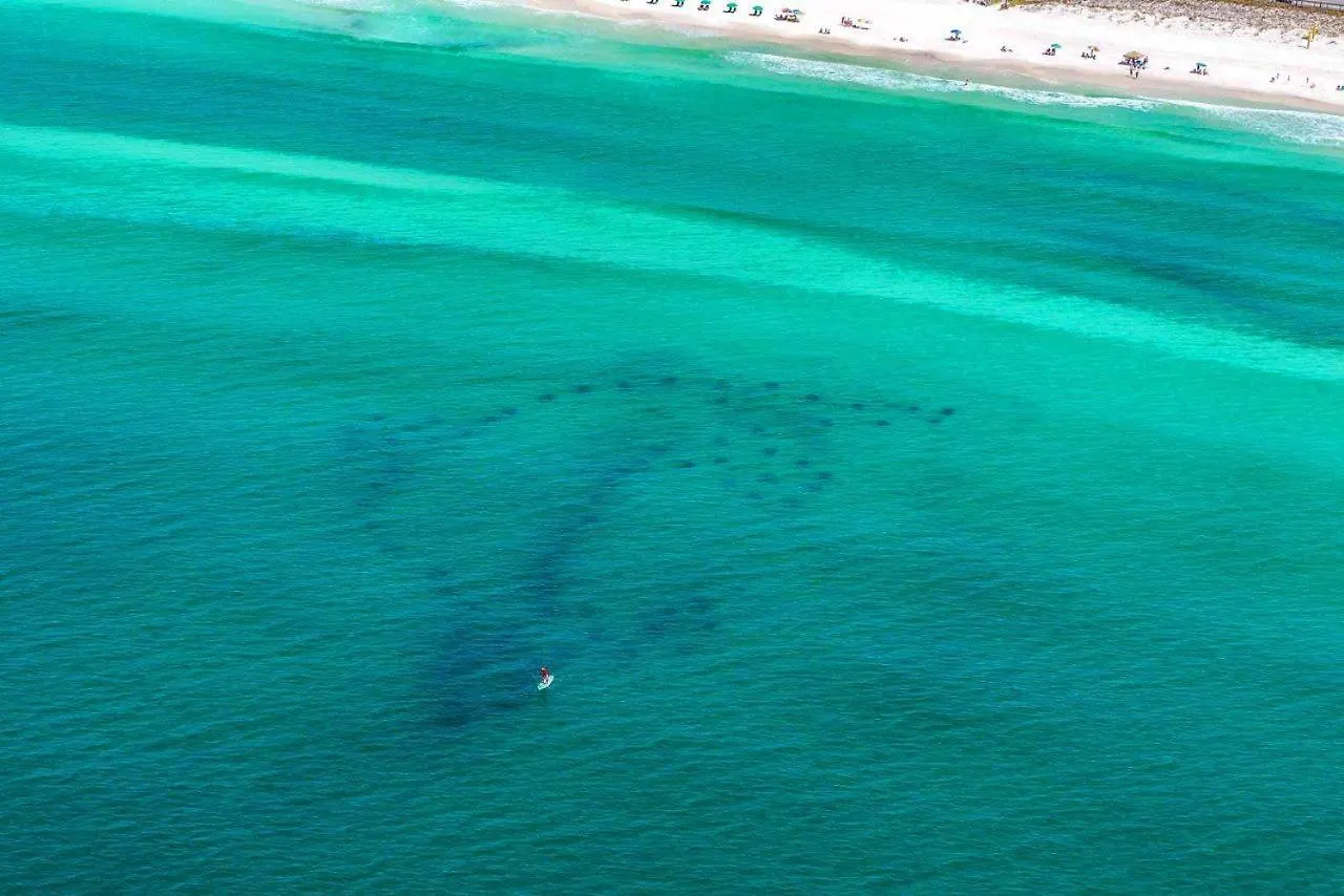 Holiday home Maravilla 2112 Destin United States